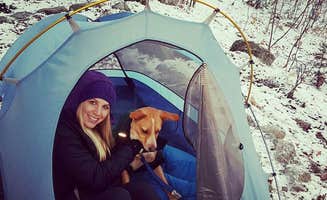 michael M.'s photo at Grafton Loop Trail - Sargent Brook Campsite near Dover-Foxcroft, ME