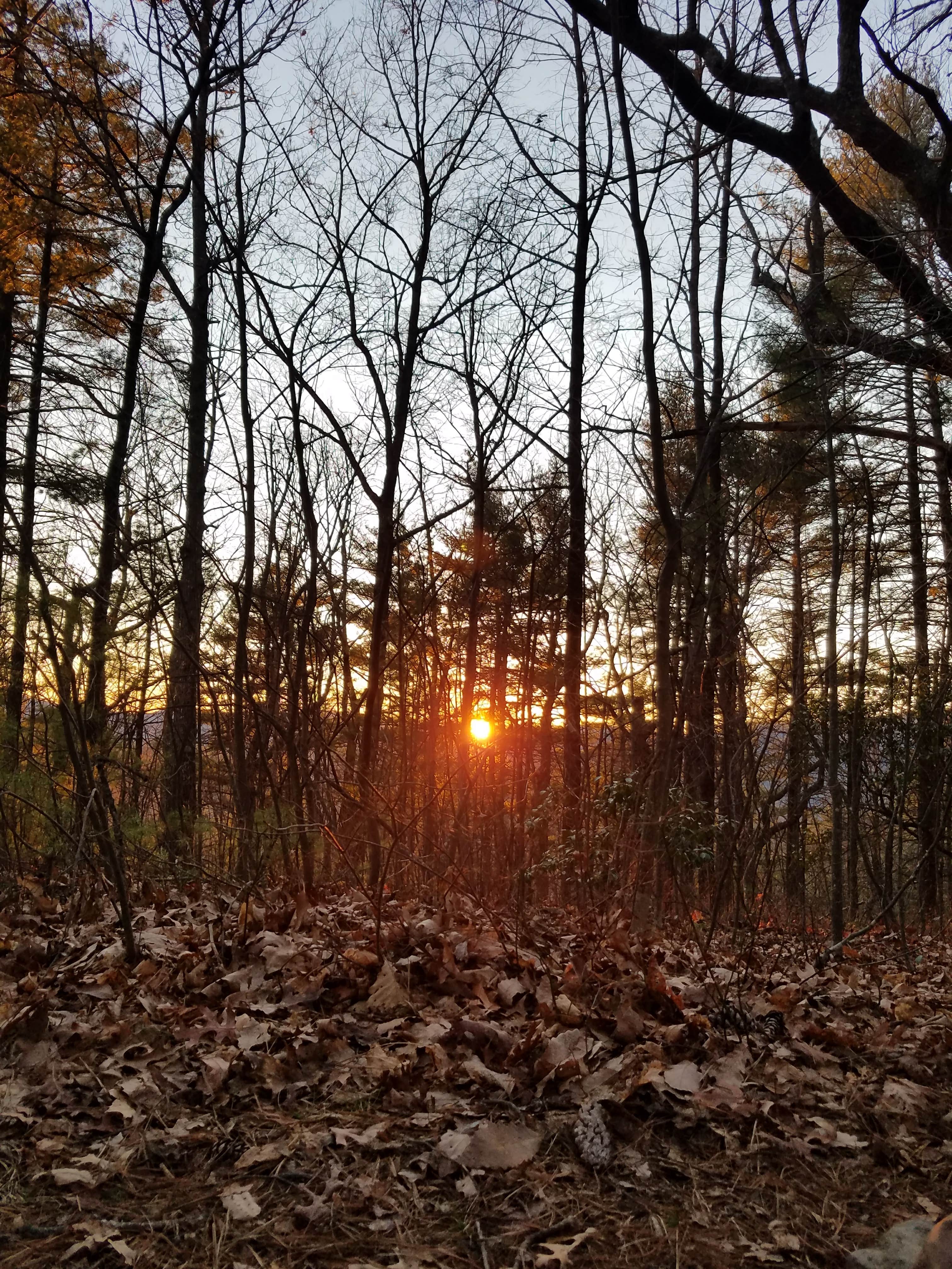 Camper-submitted photo at Upper Chattahoochee River Campground — Chattahoochee Oconee National Forest near Helen, GA