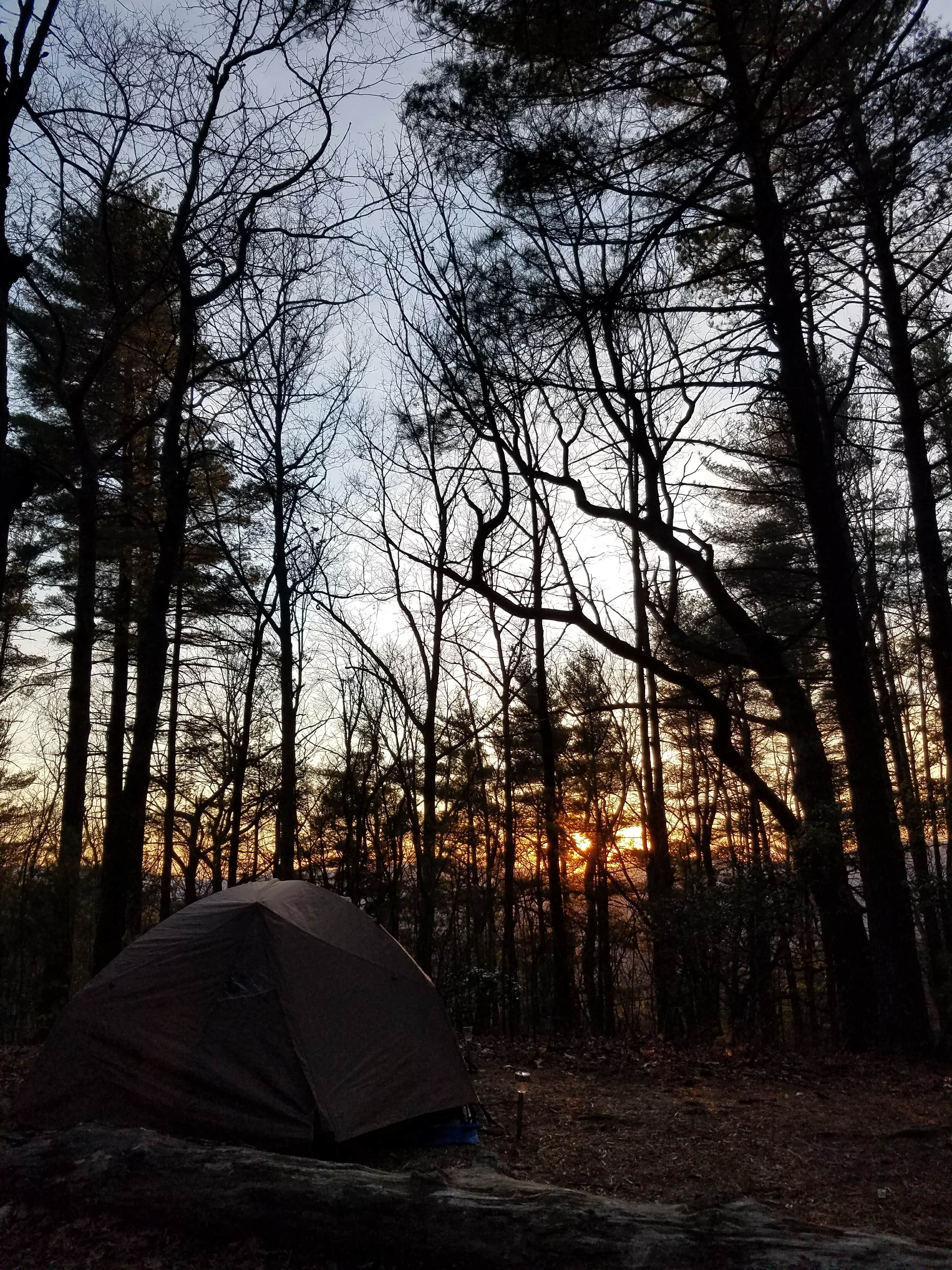 Hiking Diva ..'s photo at Upper Chattahoochee River Campground — Chattahoochee Oconee National Forest near Sautee Nacoochee, GA