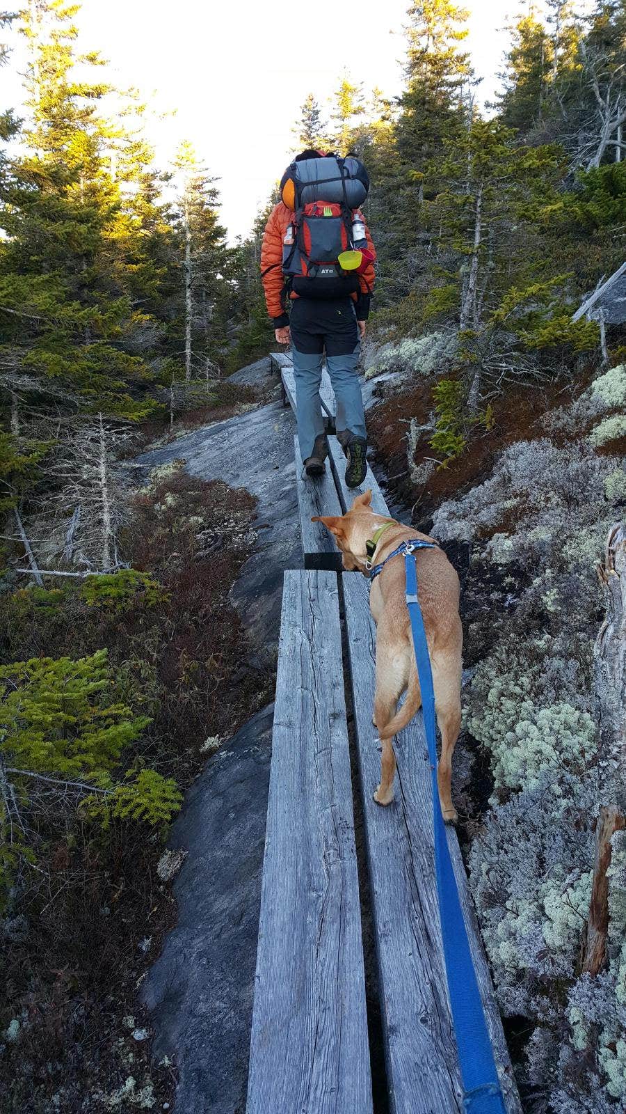 Camper-submitted photo at Grafton Loop Trail - Sargent Brook Campsite near Willimantic, ME