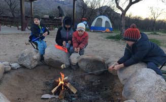 Abbey F.'s photo at Catalina State Park Campground near San Manuel, AZ