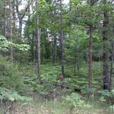 Review photo of Platte River Campground — Sleeping Bear Dunes National Lakeshore by Abbey F., March 15, 2017