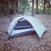 Review photo of Primitive Sites — Myakka River State Park by Deven V., March 16, 2017