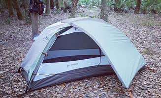 Deven V.'s photo of tent camping at Primitive Sites — Myakka River State Park near Englewood, FL
