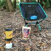 Review photo of Primitive Sites — Myakka River State Park by Deven V., March 16, 2017