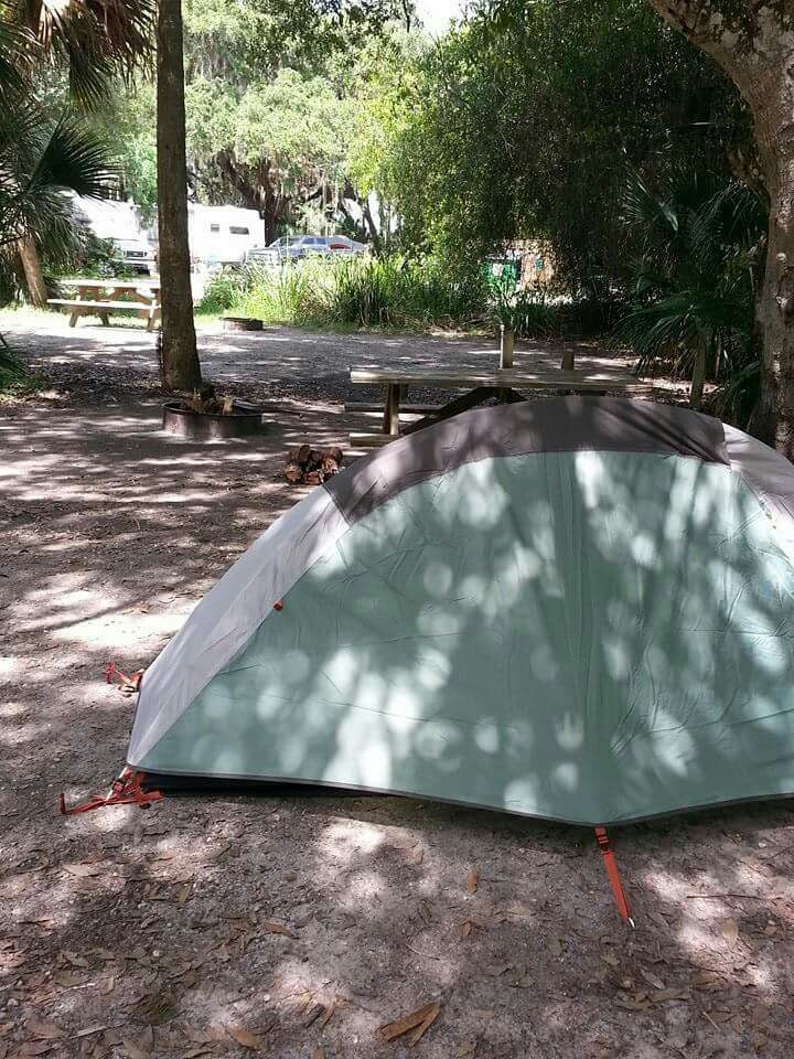 Camper submitted image from Primitive Sites — Myakka River State Park - 1