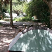 Review photo of Primitive Sites — Myakka River State Park by Deven V., March 16, 2017