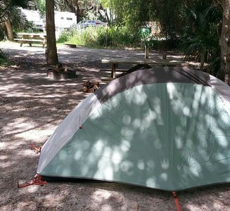 Camper-submitted photo from Primitive Sites — Myakka River State Park