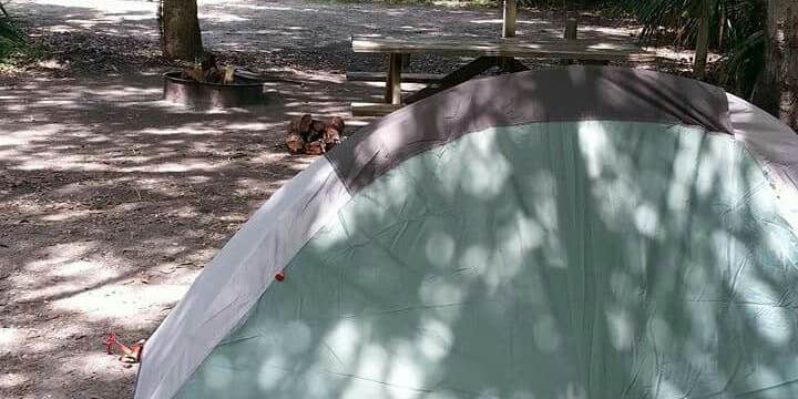 Camper submitted image from Primitive Sites — Myakka River State Park