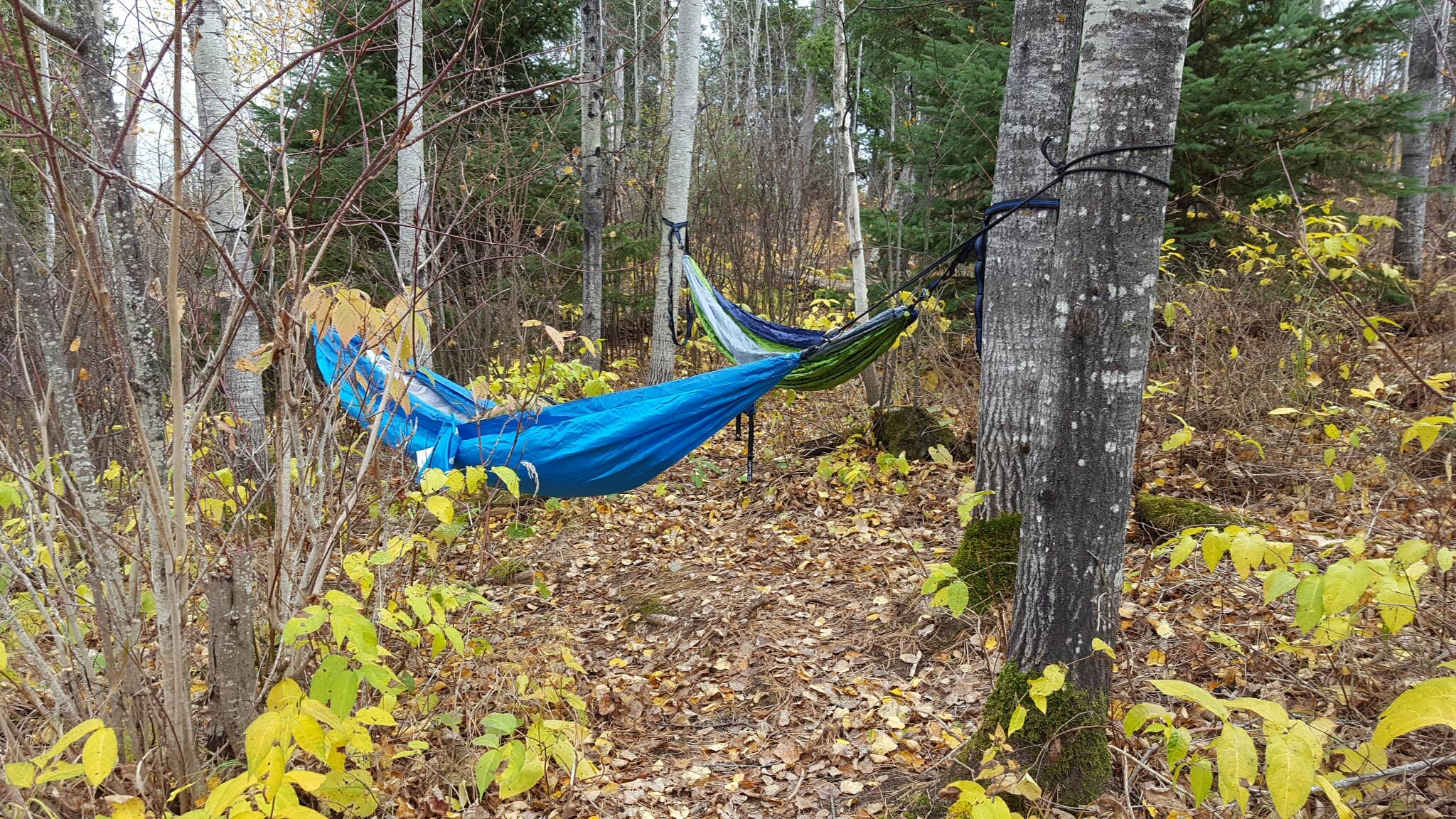 Camper submitted image from Lake Superior Cart-in Campground — Tettegouche State Park - 3