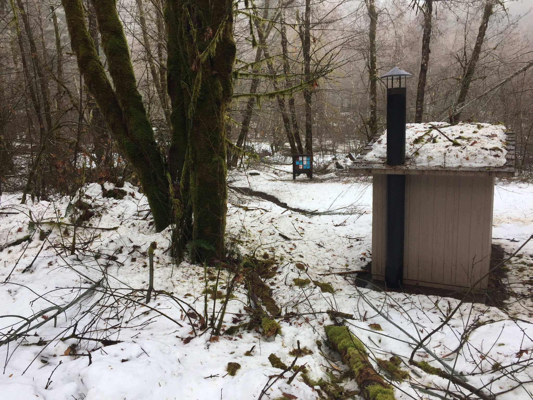 Camper submitted image from Gales Creek Campground - 4