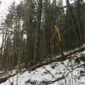 Review photo of Gales Creek Campground by Adam S., March 17, 2017