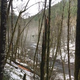 Review photo of Gales Creek Campground by Adam S., March 17, 2017