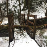 Review photo of Gales Creek Campground by Adam S., March 17, 2017