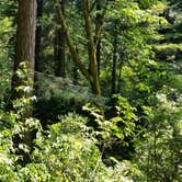 Review photo of Mill Creek Campground — Del Norte Coast Redwoods State Park by Melody M., March 17, 2017