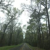Review photo of Huntsville State Park Campground by Ashley S., March 17, 2017