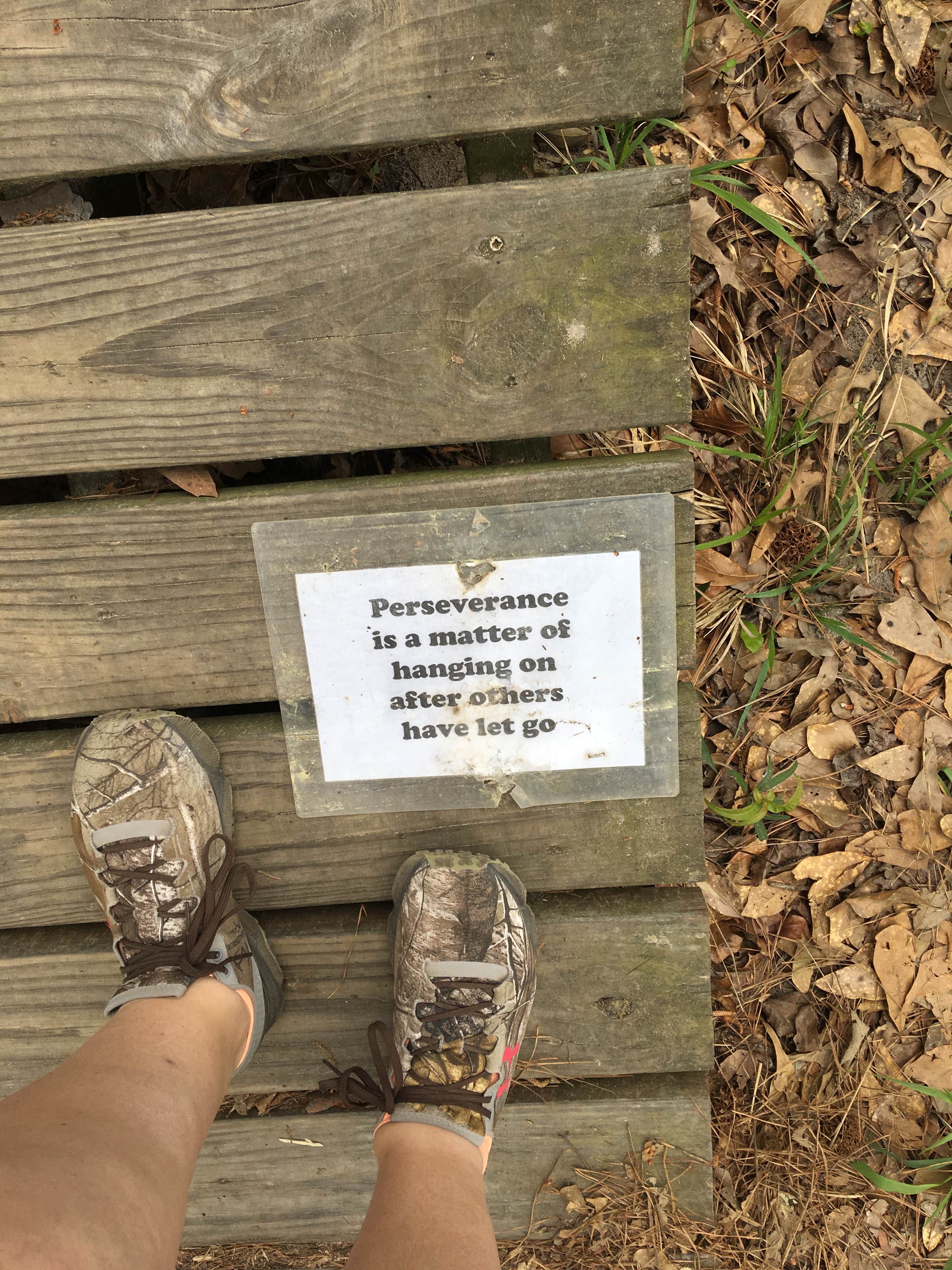 Camper submitted image from Huntsville State Park Campground - 5