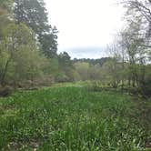 Review photo of Huntsville State Park Campground by Ashley S., March 17, 2017