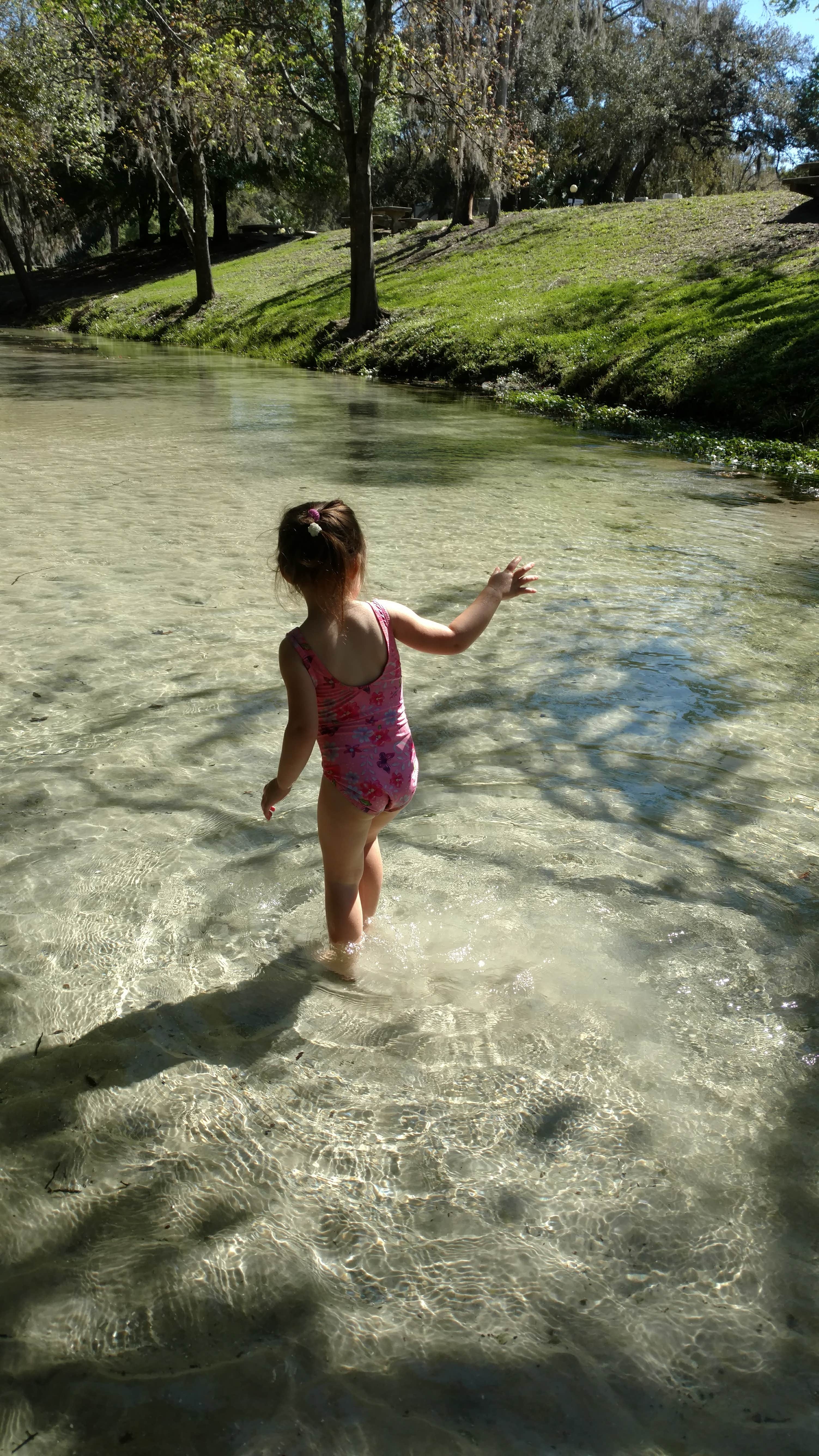 Camper submitted image from Wekiva Falls RV Resort - 3
