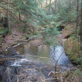 Review photo of Thompson Creek Trail Campsites by BobEarl S., March 18, 2017