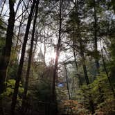 Review photo of Thompson Creek Trail Campsites by BobEarl S., March 18, 2017