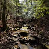 Review photo of Thompson Creek Trail Campsites by BobEarl S., March 18, 2017