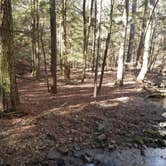 Review photo of Thompson Creek Trail Campsites by BobEarl S., March 18, 2017