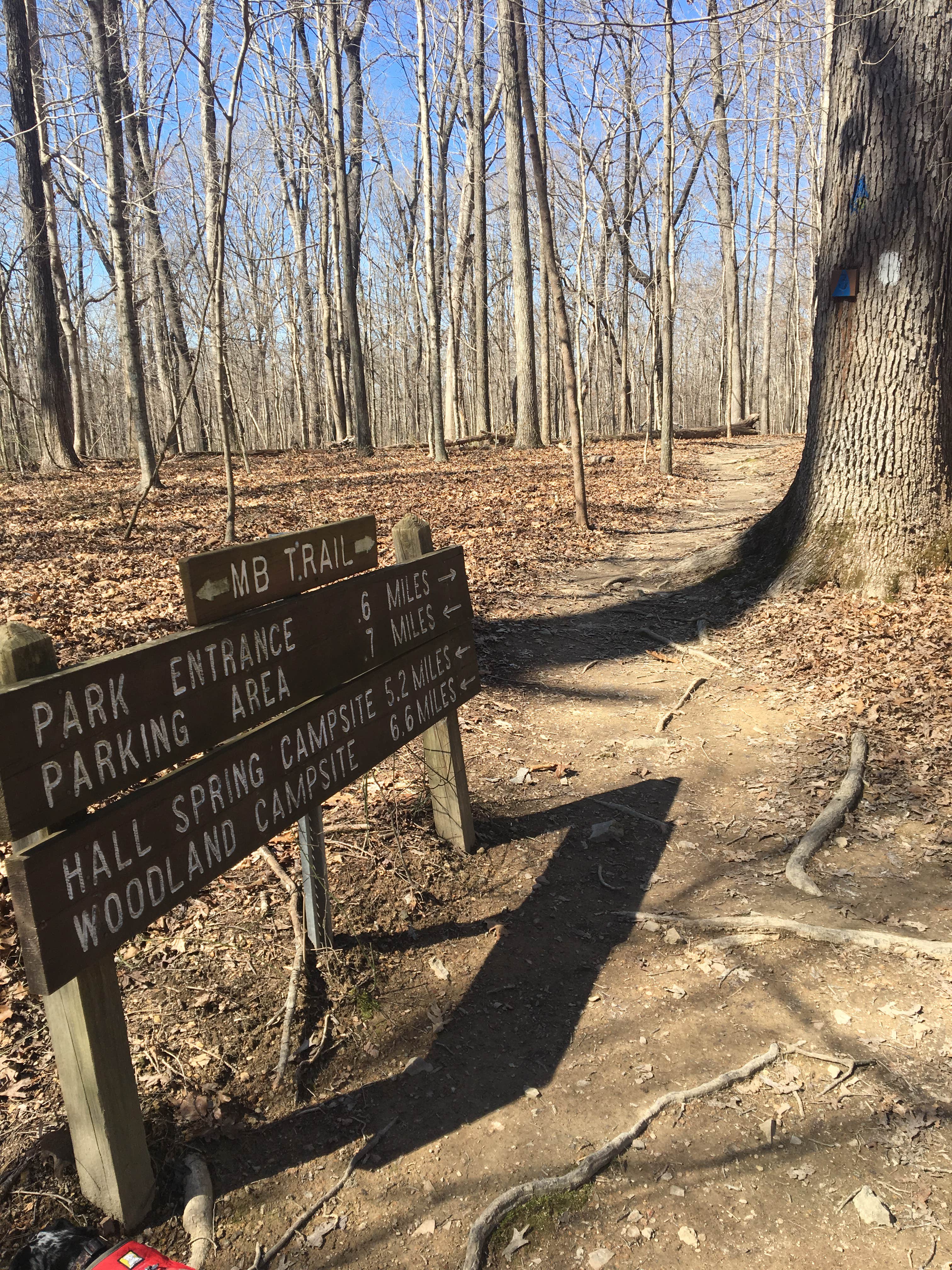 Camper submitted image from Montgomery Bell State Park Campground - 3