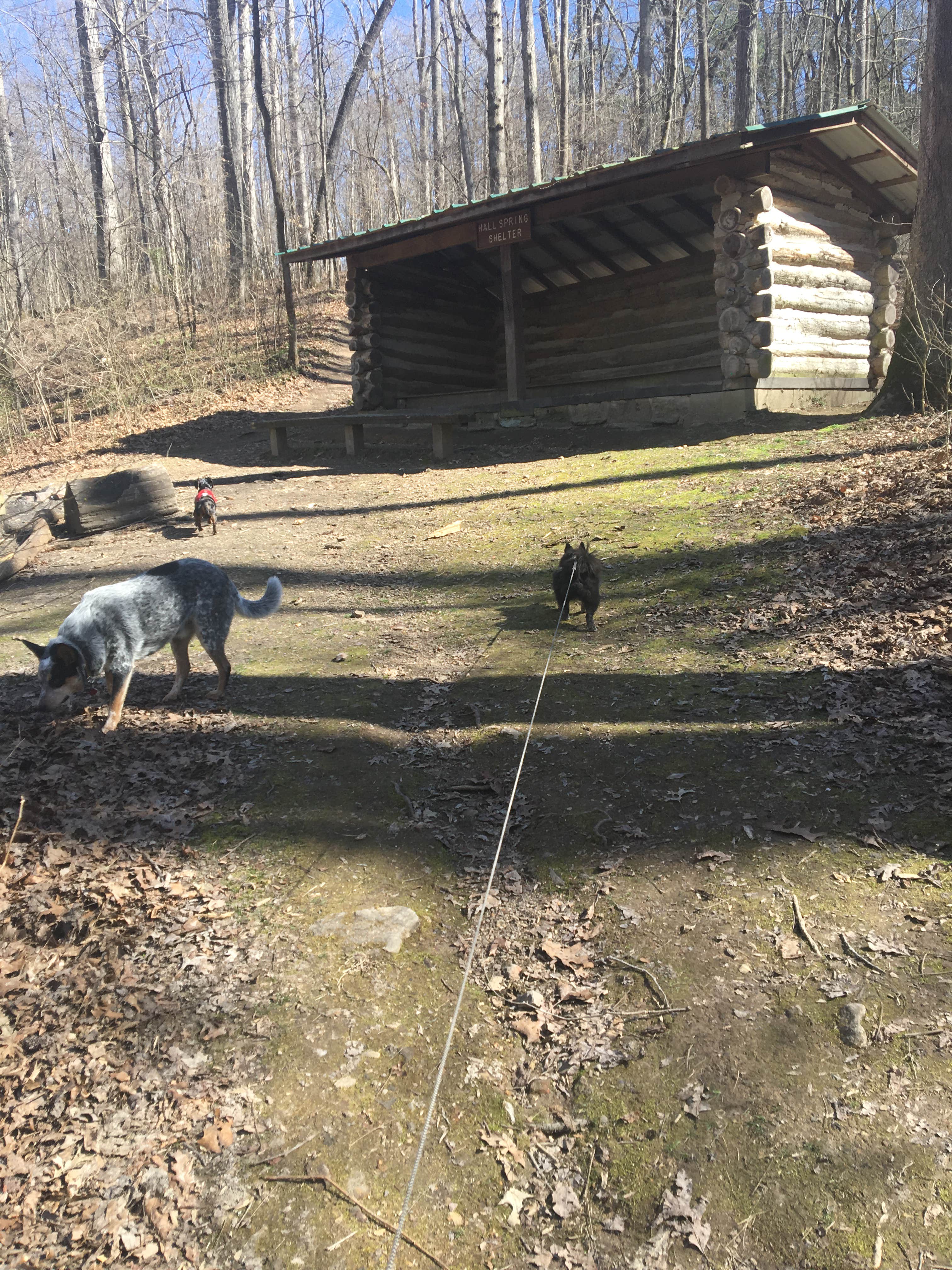 Shelly S.'s photo of glamping accommodations at Montgomery Bell State Park Campground near Dickson, TN