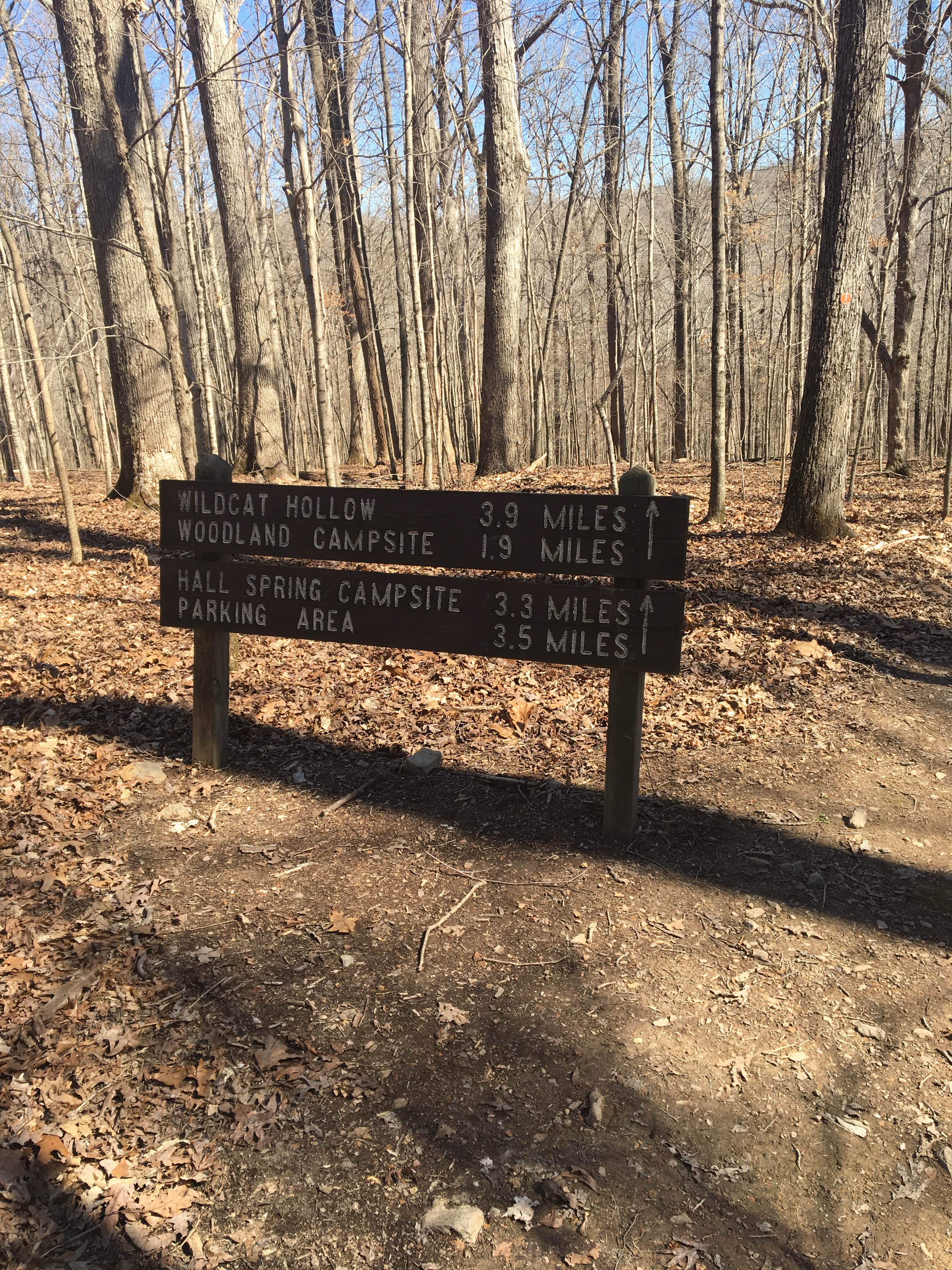 Montgomery Bell State Park Campground