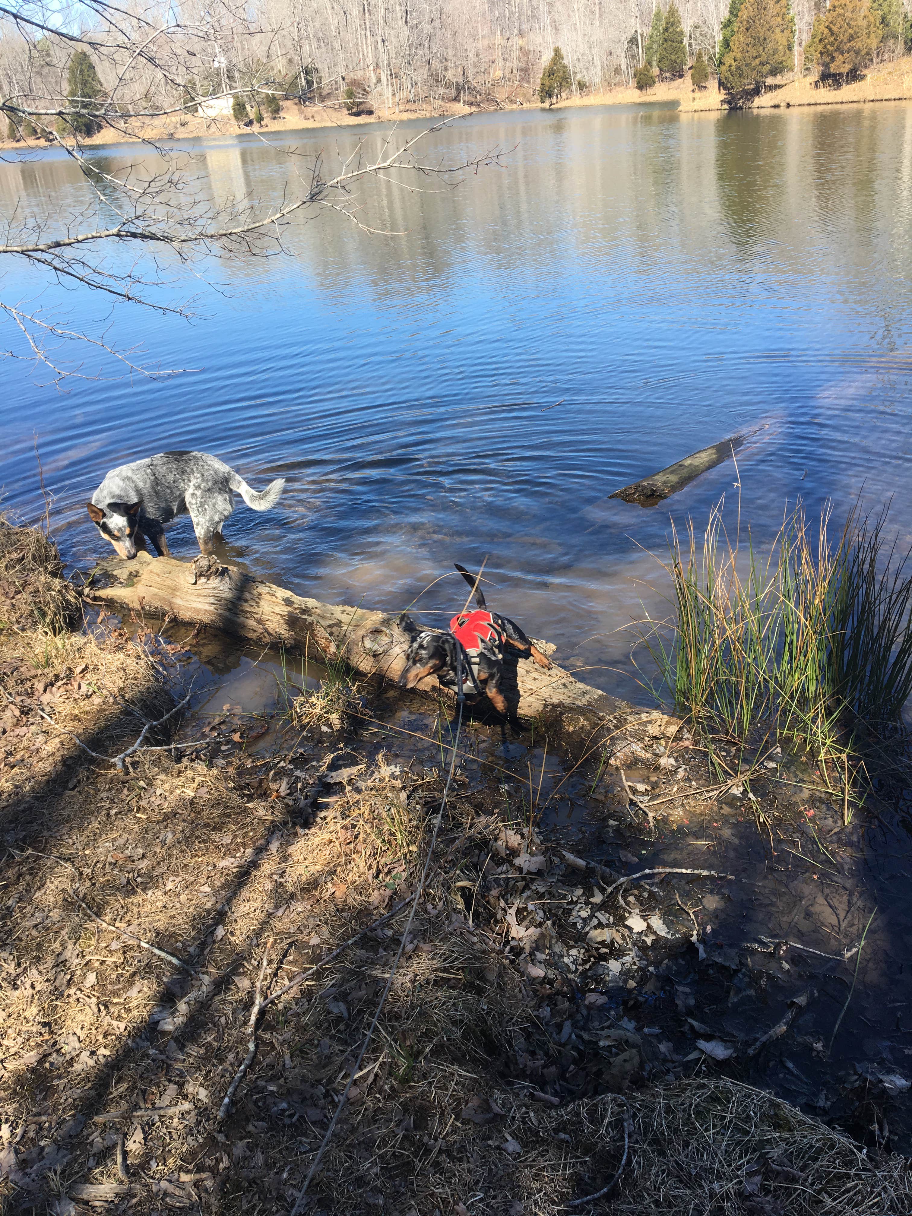 Montgomery Bell State Park Campground