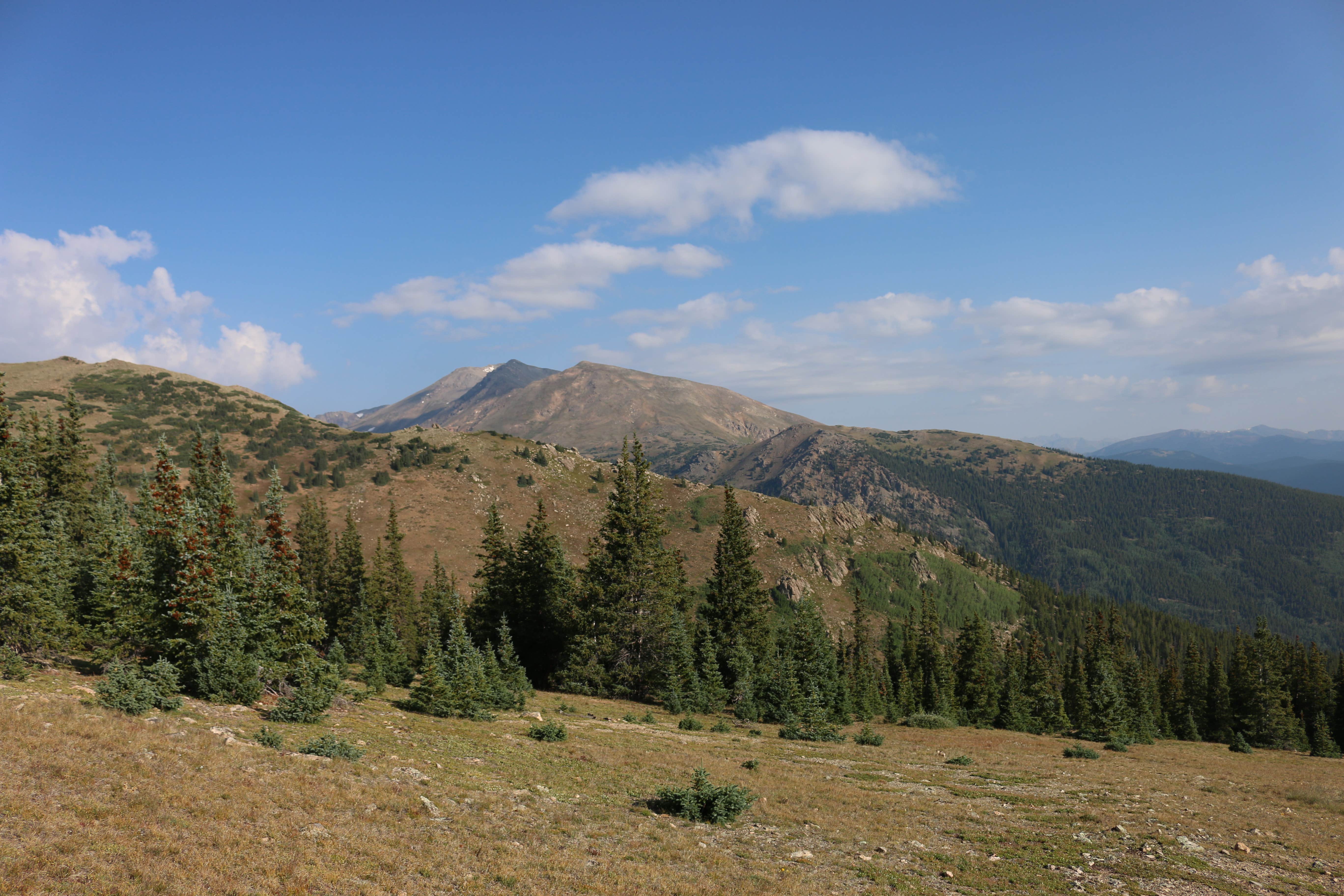 Elbert Creek Psicc Camping Leadville CO