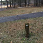 Review photo of Sweetwater Campground by Shelly S., March 18, 2017