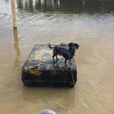 Review photo of Sweetwater Campground by Shelly S., March 18, 2017
