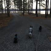 Review photo of Sweetwater Campground by Shelly S., March 18, 2017