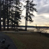 Review photo of Allatoona Lake - COE/Sweetwater by Shelly S., March 18, 2017