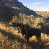 Review photo of Sully Creek State Park — Sully Creek State Recreation Area by Jessica S., March 18, 2017