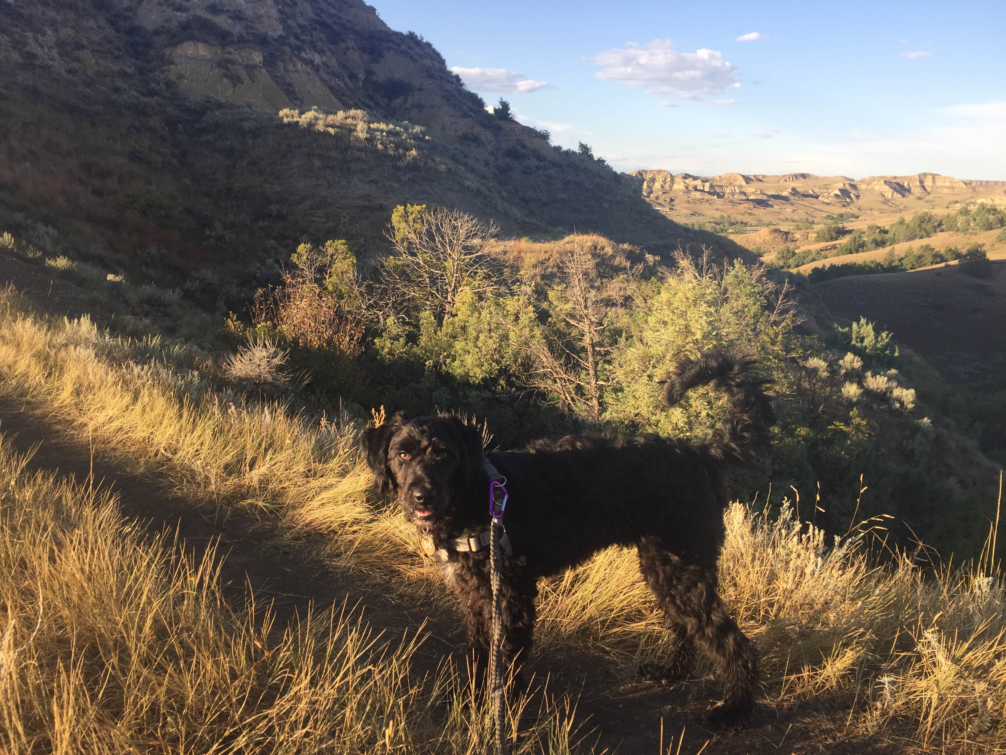 Camper submitted image from Sully Creek State Park — Sully Creek State Recreation Area - 2