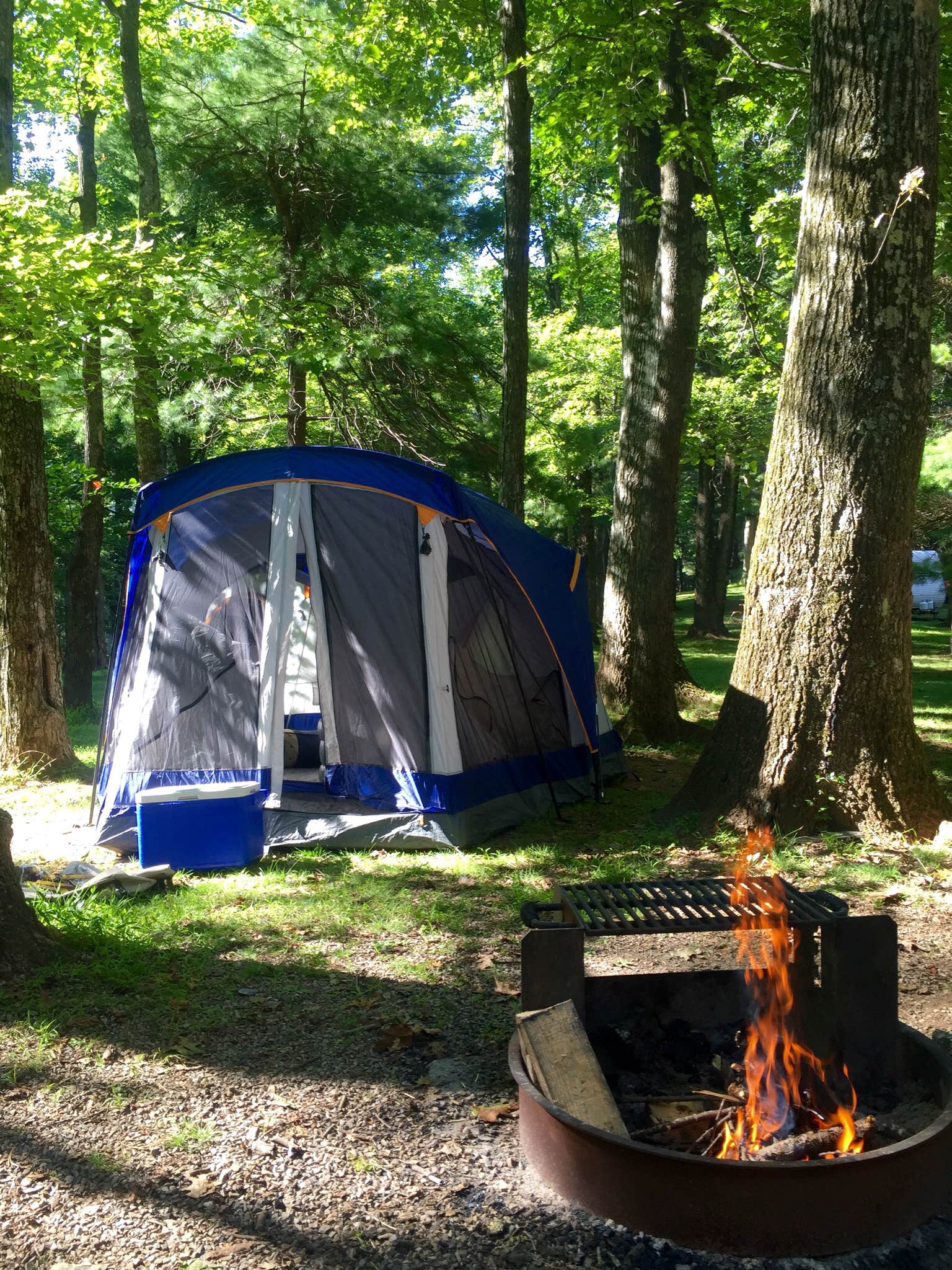 Camper submitted image from Rocky Knob Campground — Blue Ridge Parkway - 5