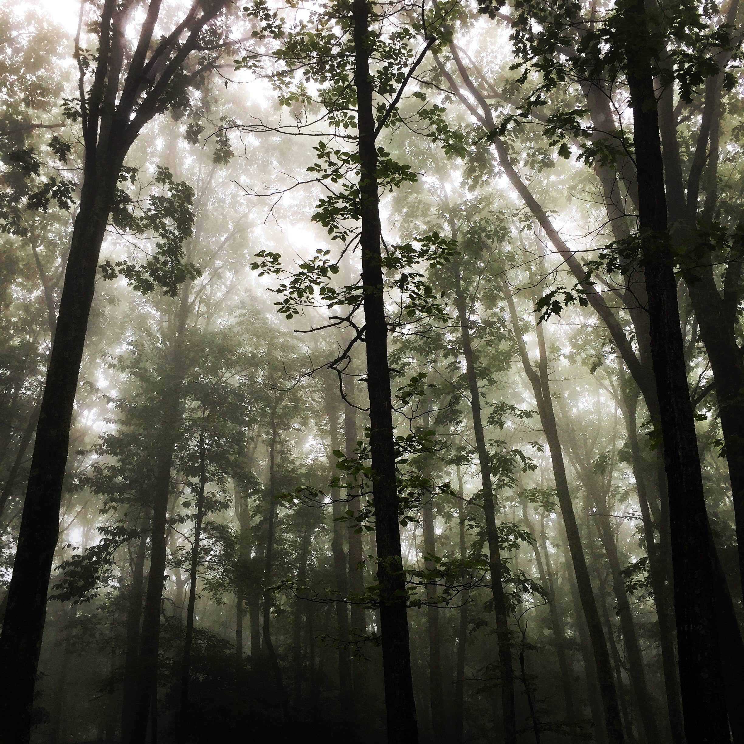 Camper submitted image from Rocky Knob Campground — Blue Ridge Parkway - 2