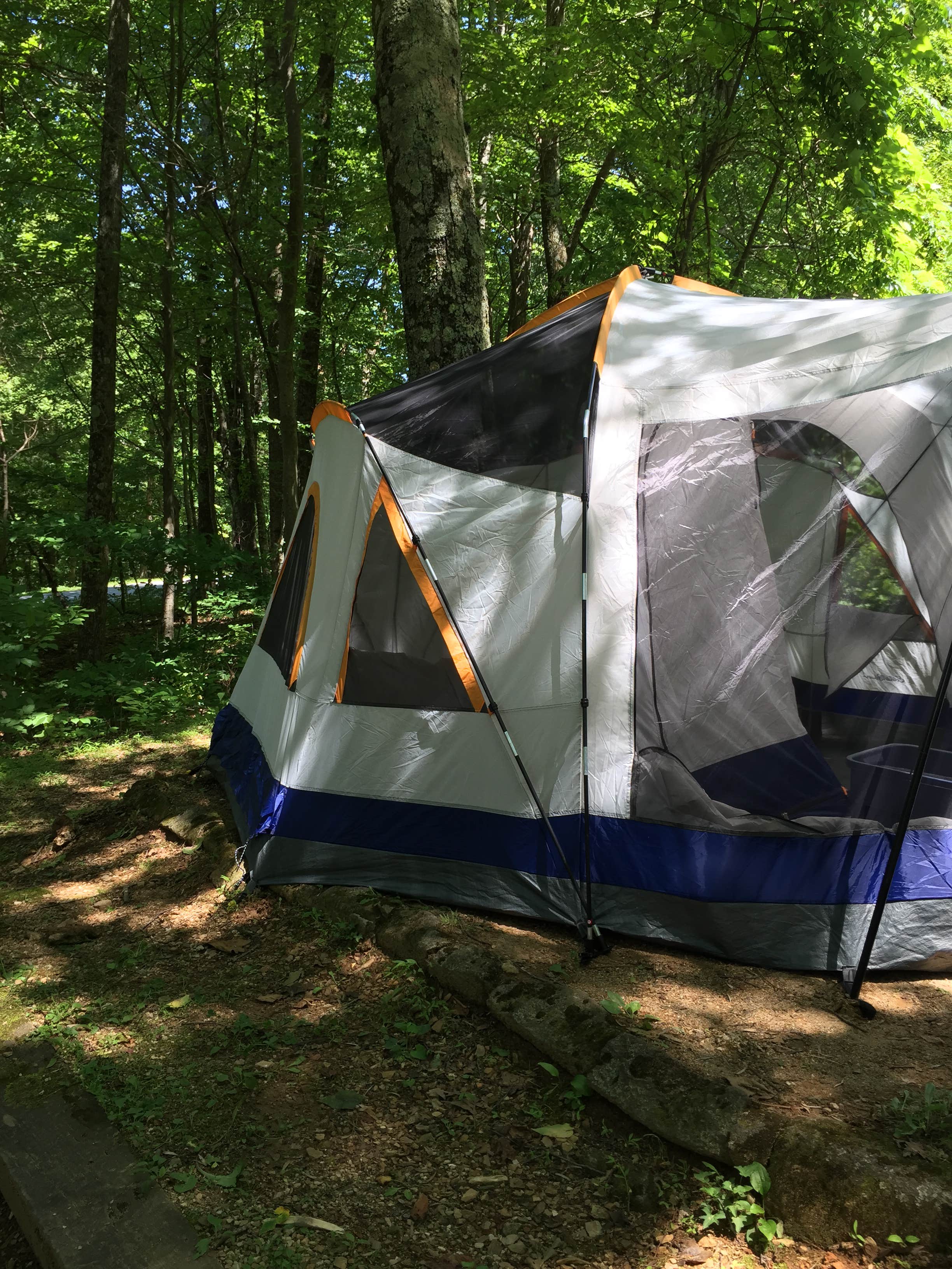 Camper submitted image from Peaks Of Otter Campground — Blue Ridge Parkway - 5