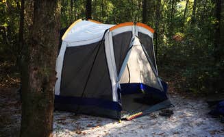 Kevin M.'s photo at Carolina Beach State Park Campground near Hampstead, NC