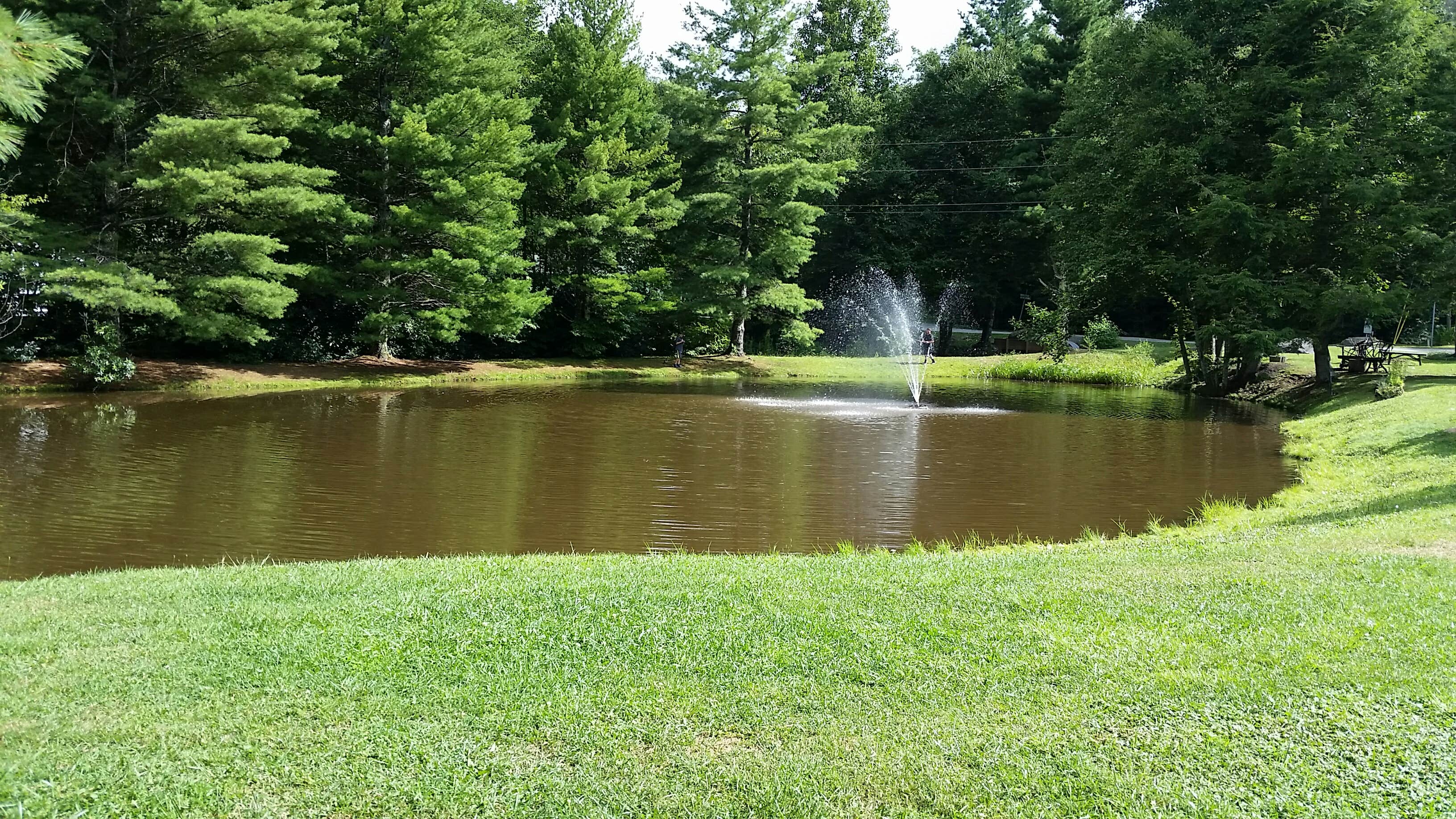 Camper submitted image from Honey Bear Campground - 5