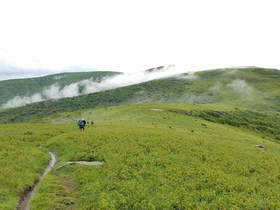 Camper submitted image from Roan Mountain State Park Campground - 2