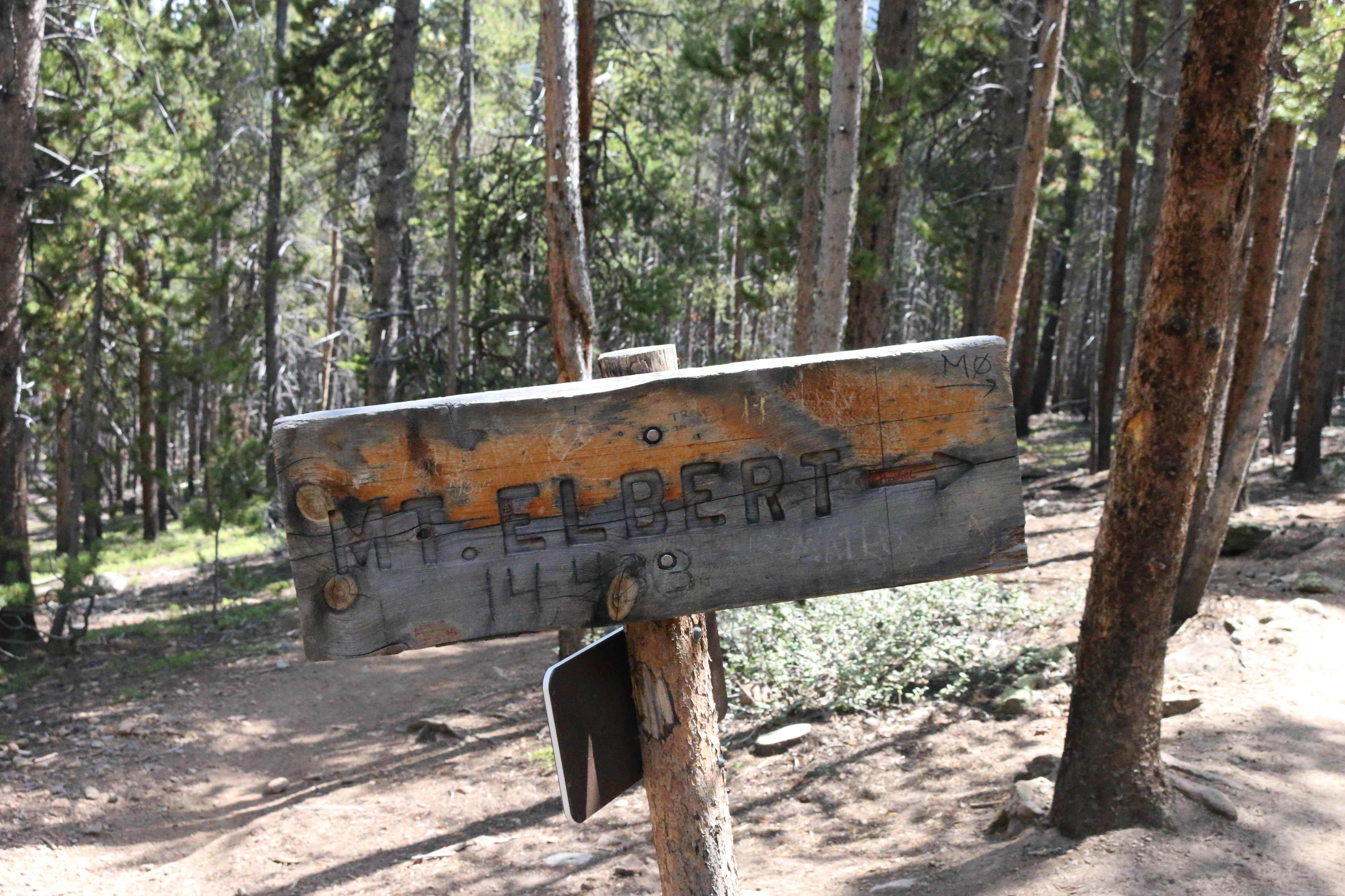 Camper-submitted photo at Elbert Creek — Psicc near Leadville, CO