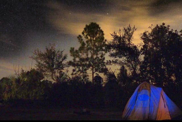 sandra R.'s photo at Long Pine Key Campground — Everglades National Park near Biscayne National Park