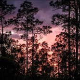 Review photo of Long Pine Key Campground — Everglades National Park by sandra R., March 20, 2017