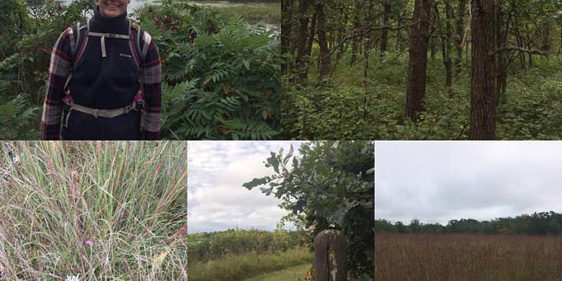 Camper submitted image from Lake Bronson State Park Campground