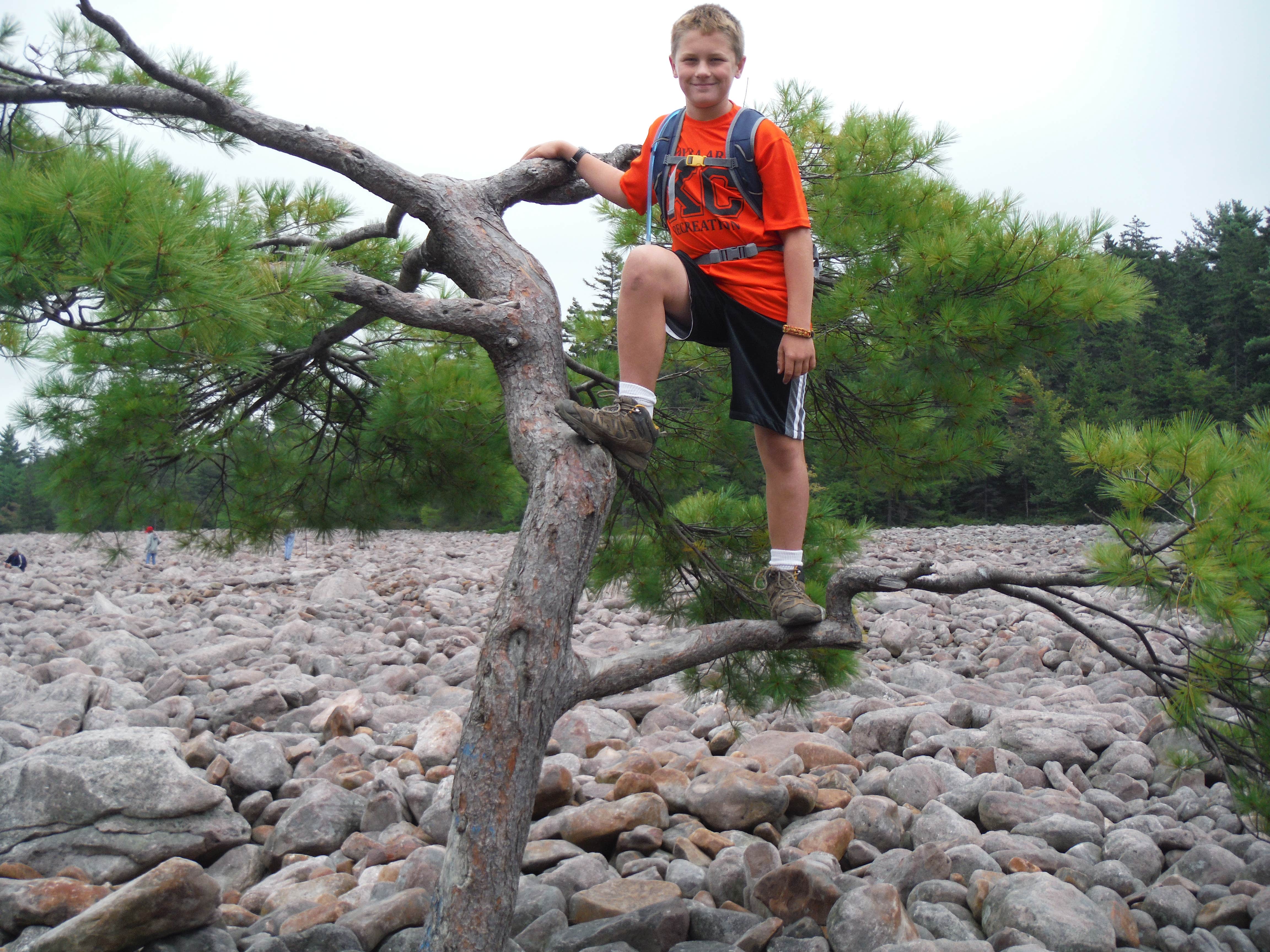 Camper submitted image from Hickory Run State Park Campground - 3