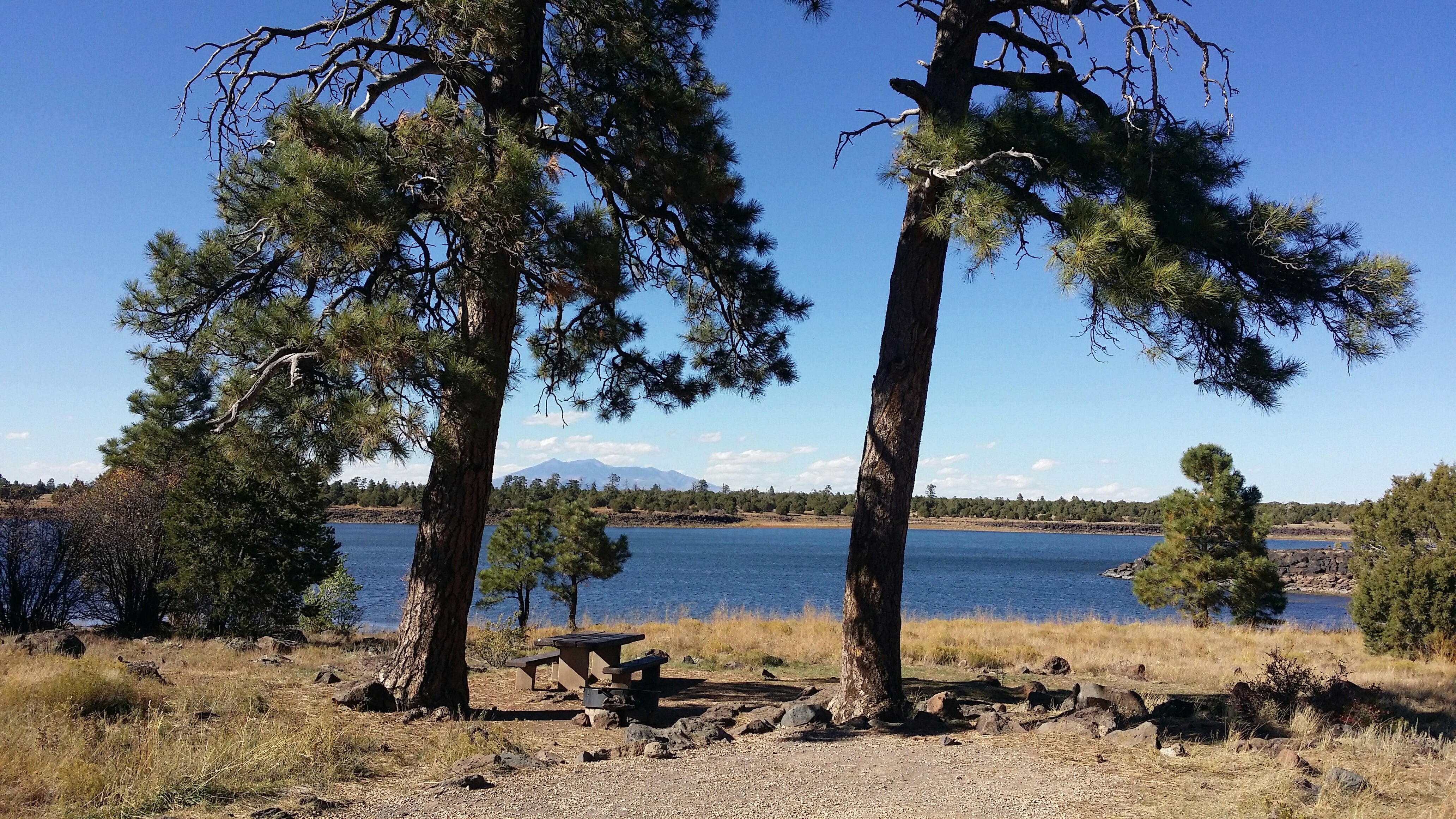 Camper submitted image from Ashurst Lake Campgrounds - 2